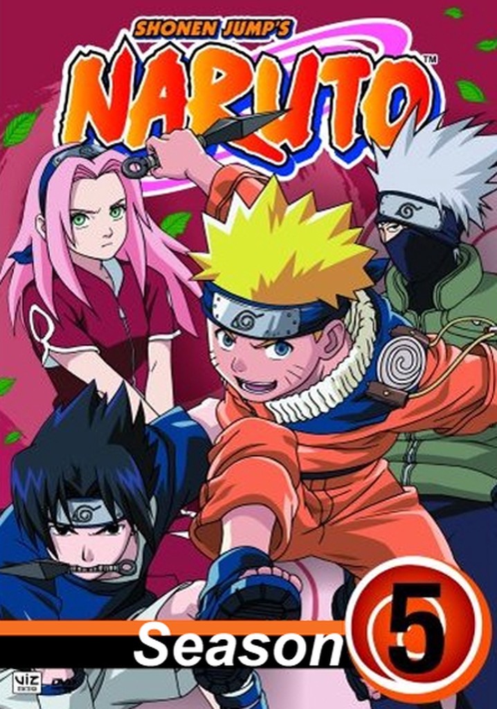 Naruto Season 05 Hindi Dubbed Episodes [Multi-Audio]