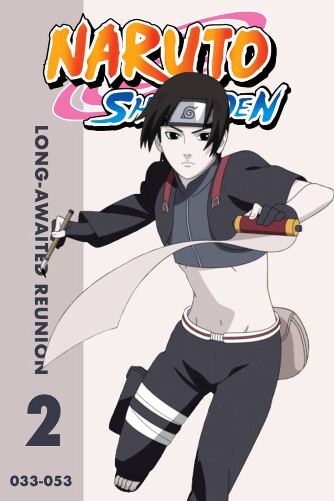Naruto Shippuden Season 02 Hindi Dubbed Episodes