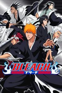 Bleach Season 03 Hindi Dubbed Episodes [Multi-Audio]